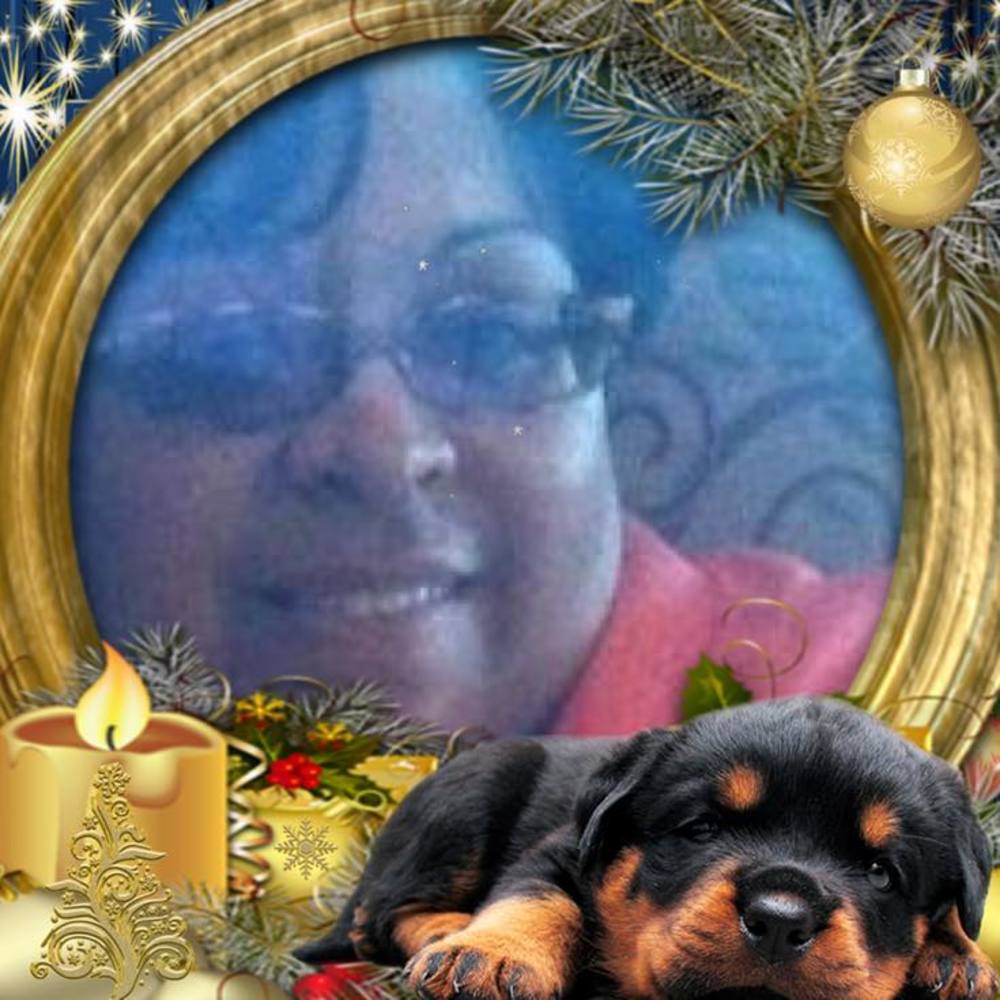 Meet your Posher, Babs